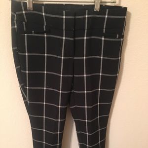 Loft pants